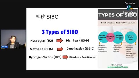 小腸細菌增生(SIBO)與組織胺不耐症的關係