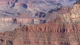 TikTok Influencer faces criminal charges after posting video hitting golf ball into Grand Canyon