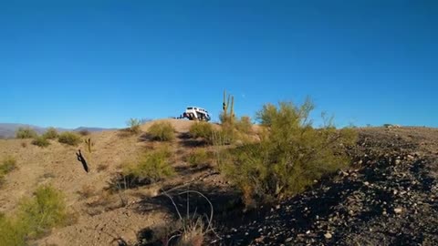 Alamo Lake Arizona