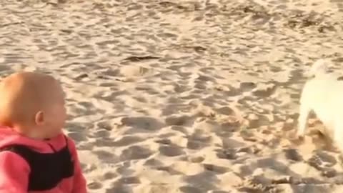 Top Funniest Babies On The Beach - Funny Videos