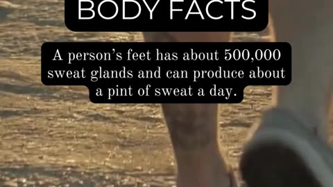 Unveiling the Human Body: Mind-Blowing Facts
