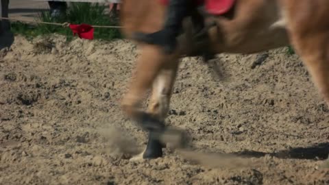 Low section horses running on sand. Horse show in park Kievan Rus