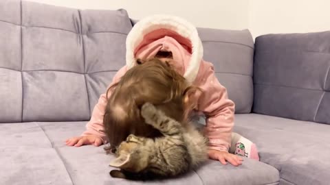 Cute baby meets new baby kitten for the first time!
