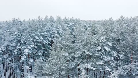 -71°C IN YAKUTIA: CAMPING IN THE HEART OF SIBERIA