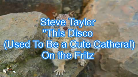 Steve Taylor - This Disco (Used to Be a Cute Cathedral) #281