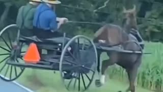 Amish Throttle