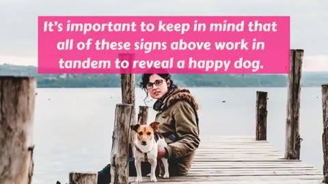7 signs your dog is happy 😊