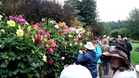 Beautiful Flower Garden in Canada, The Butchart Gardens-12