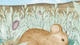 Tale of Dickie Deer Mouse By: Arthur Scott Bailey