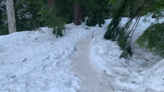 Gliding Across the Ice Like a Panther – Tamanawas Falls – Mount Hood – Oregon – 4K