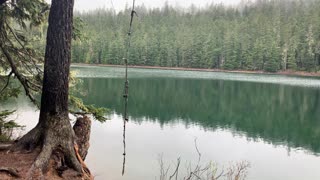 Oregon – Mount Hood National Forest – Rope Swing for Lower Twin Lake – 4K