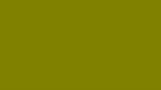 🌈Olive Green 🎞️ Video Screen for 60 Minutes🔇 | Silent 111_43