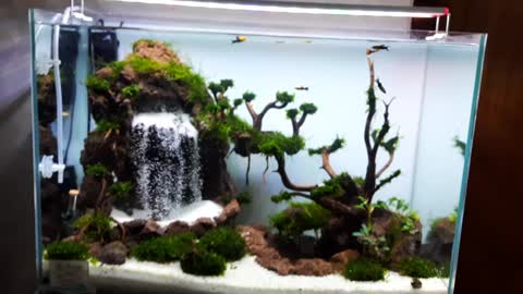 waterfall aquascape