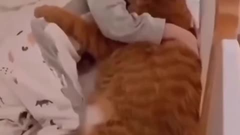 VERY CUTE MOMENTS CAT WITH BABY MELTED MY HEART