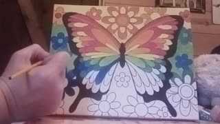 Beautiful Butterfly Painting With Music