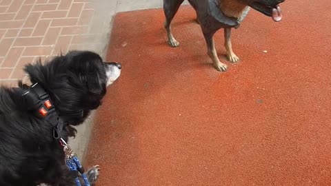 Statue Makes Dog Suspicious