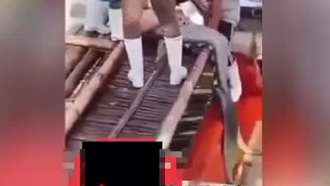 FISHERMEN CATCH MERMAID IN SRI LANKA WATCH VIDEO AND SHARE
