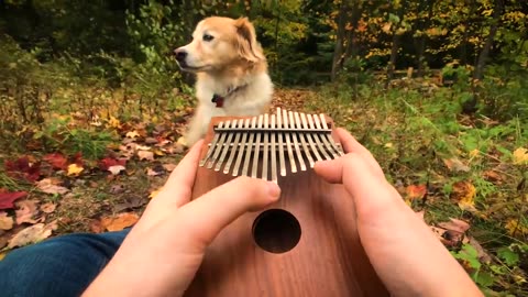 Can't Help Falling In Love on a Kalimba #part3