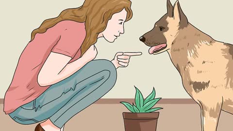 prevent Your Dog from Eating Your Plants