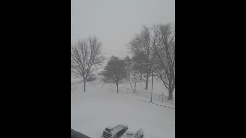 Snow Storm, Ontario