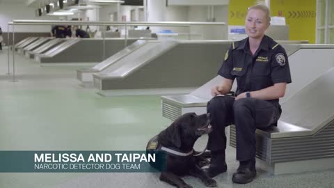 A Day in the Life of Airport Detector Dogs
