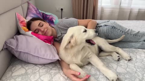 Golden Retriever Puppy Wakes up his Human Mom for a Hug