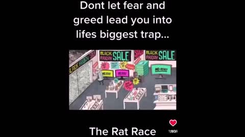 The Rat race!!!