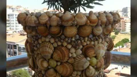 Sea Shell craft/different home decoration ideas