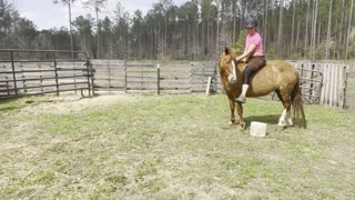 Sitting on Ember for the First Time! #short