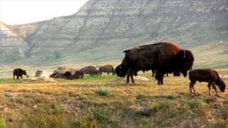 1 Hour Native American Flute Meditation Relaxation Deep Sleep Focus Study