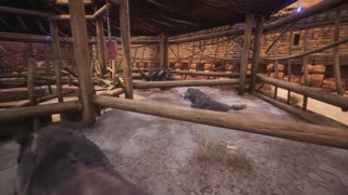 Conan Exiles - Update 34 Pets, Dungeons, and New Religion Trailer