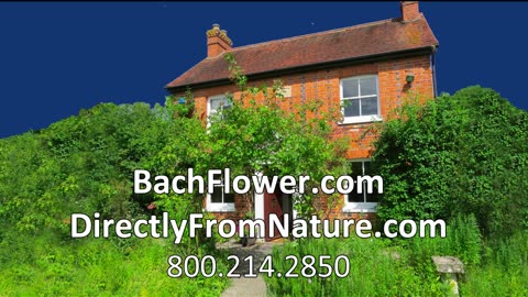 "A PRACTICAL GUIDE TO THE BACH FLOWER REMEDIES' by Bettina Rasmussen