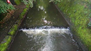 River Rea Stream - Sounds of Nature