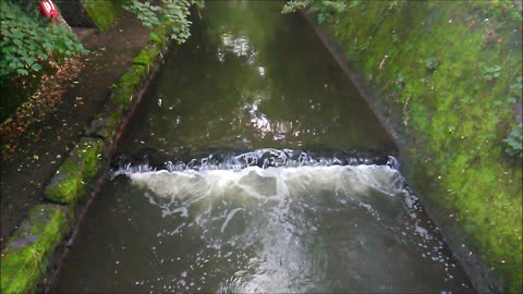 River Rea Stream - Sounds of Nature