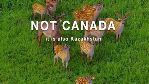 Most Beautiful Places in Kazakhstan