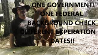 My Two Cents Worth VOL 1 (Federal Background Checks)