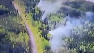 How Lightening causes Forest Fires - Wink, Wink