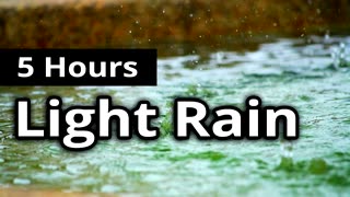 ASMR Rain - Delicate Light RAIN for 5 HOURS - Sleep Sounds + Relaxation