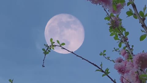 Moon in the Sky During Daytime
