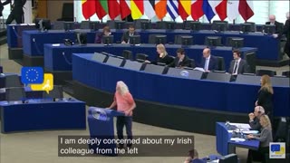 Swedish MEP Slams Anti-Semitic Accusations Of Israeli 'Terrorism' By 'Batsh*t Crazy Left'