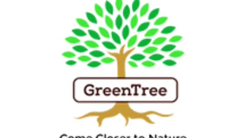 GreenTree - Best Skin Care Products In Dubai