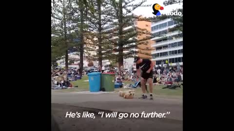 Dog PLAYS DEAD to Avoid Going Home While Park Crowd Watches