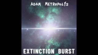 Do You Like Me - Adam Metropolis