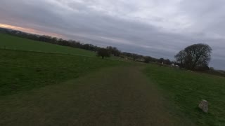 walking amongst the standing stones in Avebury