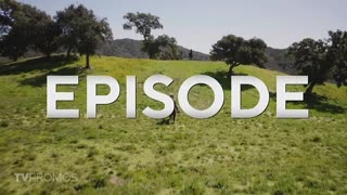 NCIS 21x09 Promo "Prime Cut" (HD) Season 21 Episode 9 Promo