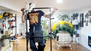 Birds Help with Workout