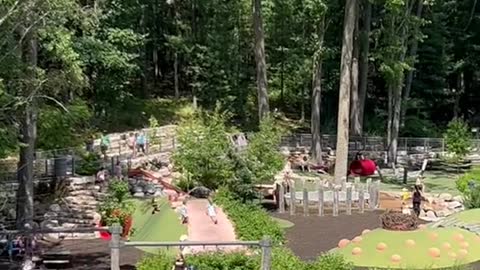 MeetMICHIGANCanopy Walk in Dow Gardens