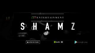 Shamz - Energy Journey