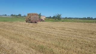 Baling straw