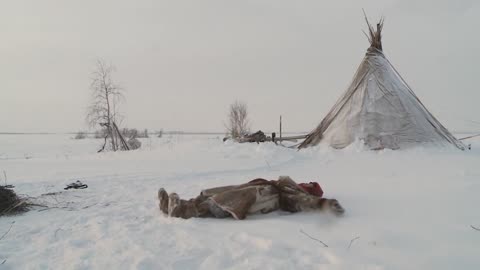 Sky Rescue / The Nenets reindeer herders travel thousands of kilometres a year.